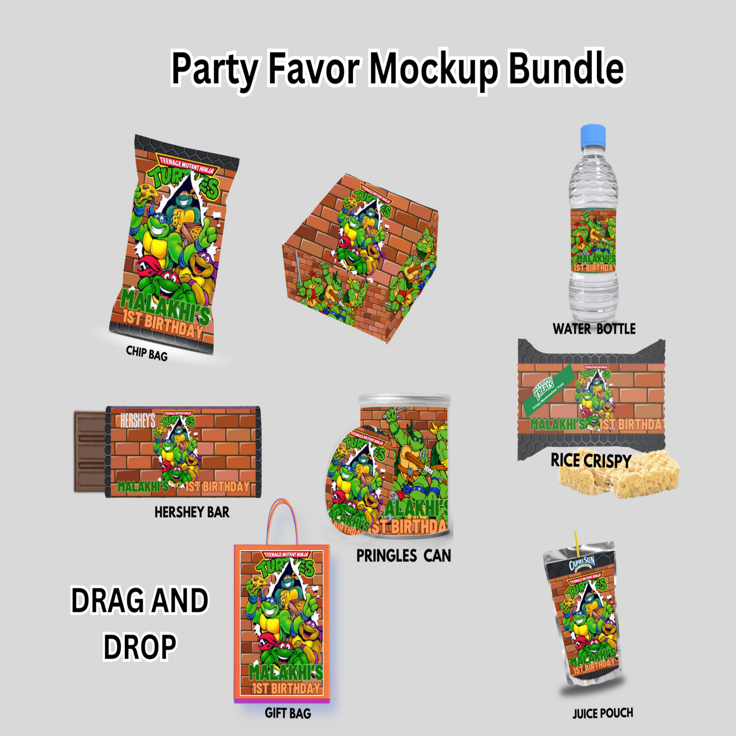 Turtle Party Favor