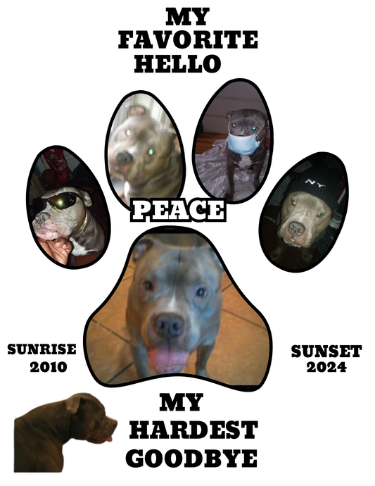 Pet Tribute Template